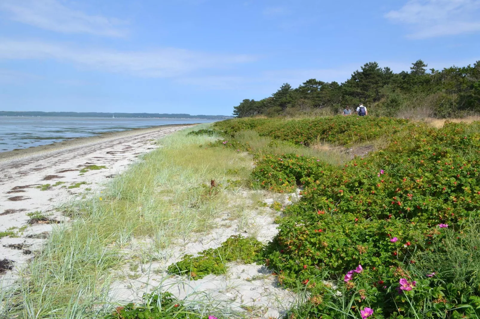 5 persoons vakantie huis in Ebeltoft-By Traum-Waterzicht