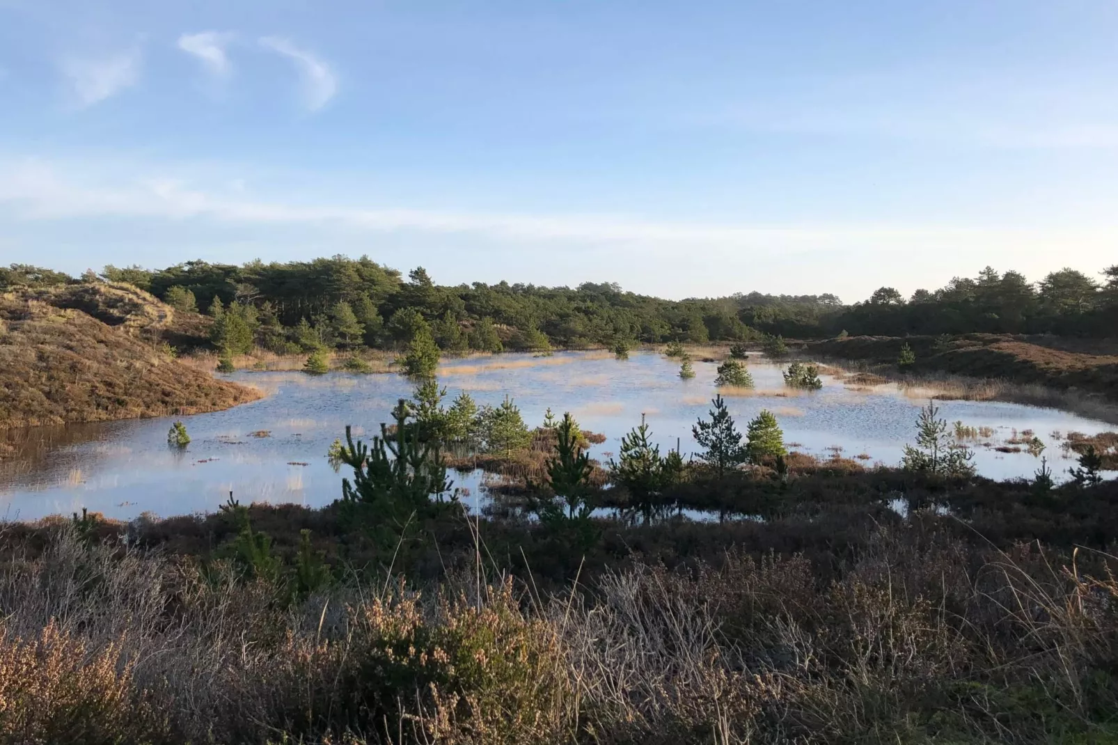 6 persoons vakantie huis in Rømø-By Traum