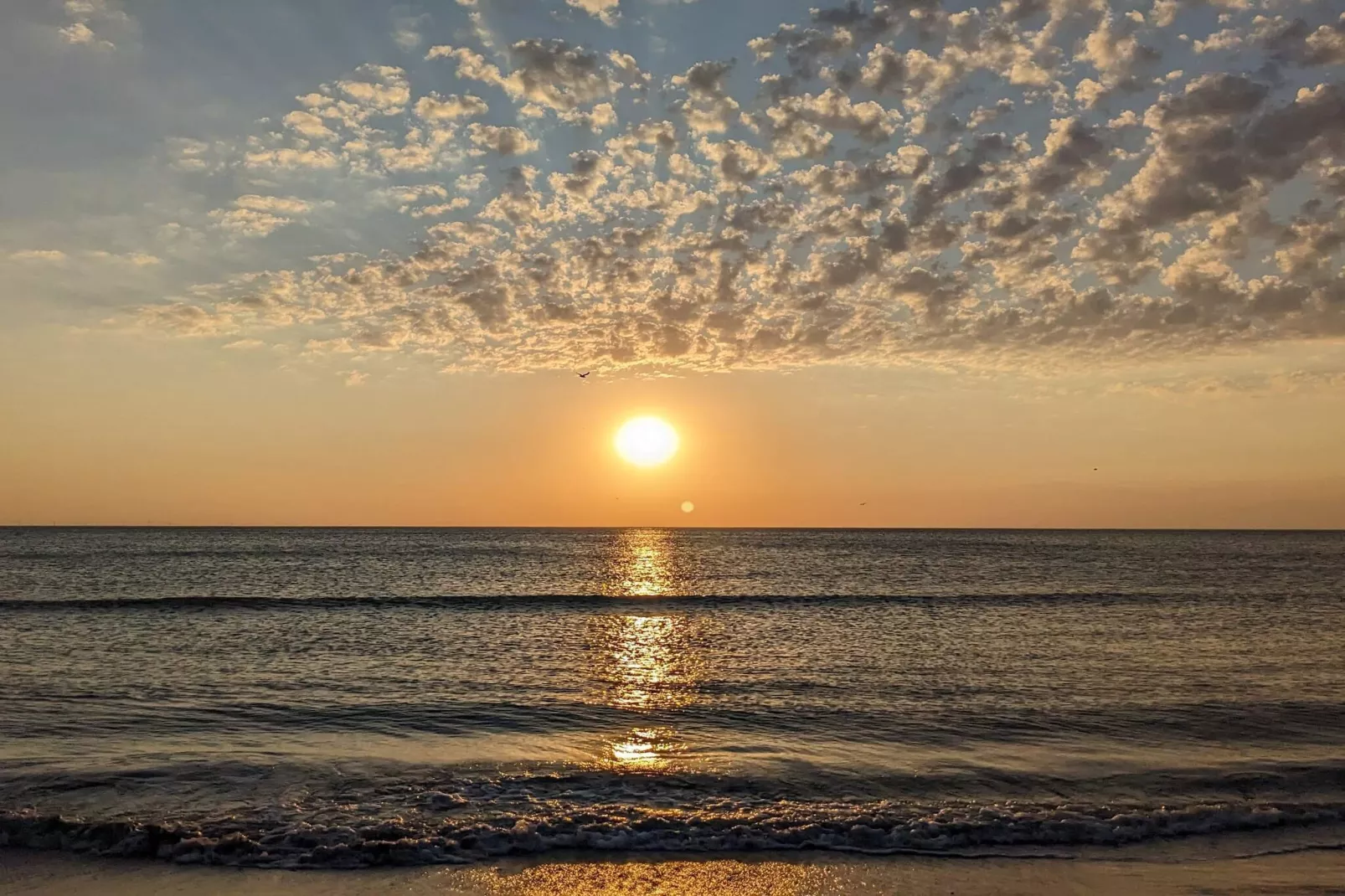 Modern huis bij duinen -- By Traum Ferienwohnungen-Waterzicht