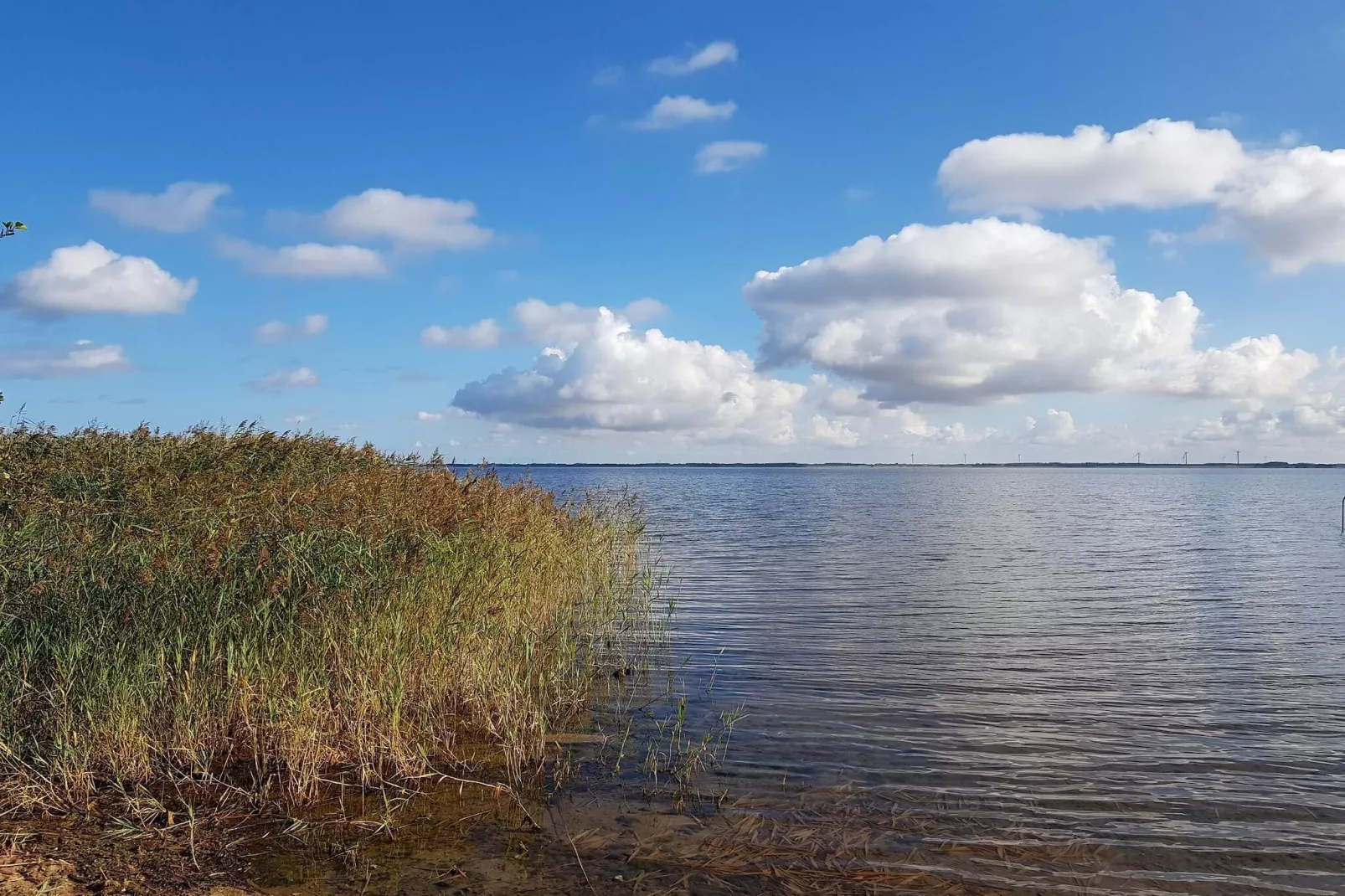 Afgelegen oase bij fjord -- By Traum Ferienwohnungen-Waterzicht