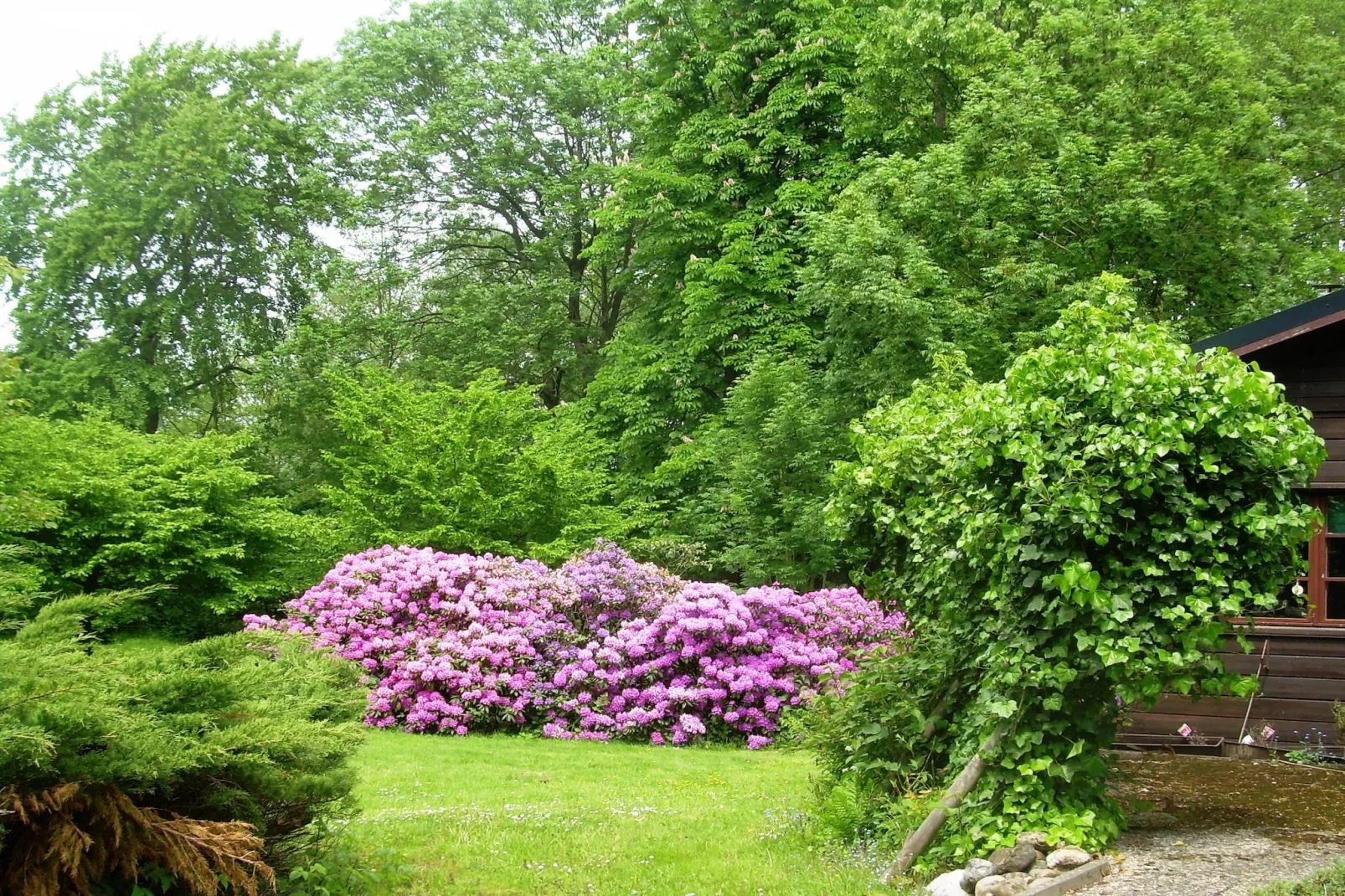 Lüneburger Heide-Tuinen zomer
