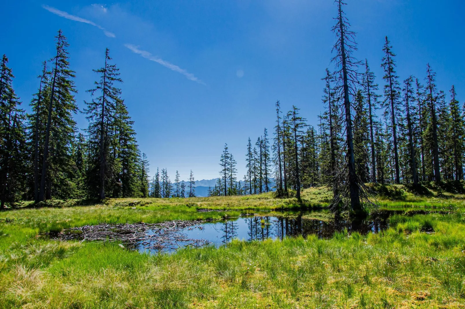 Filzmoos Appartements-Gebieden zomer 1km