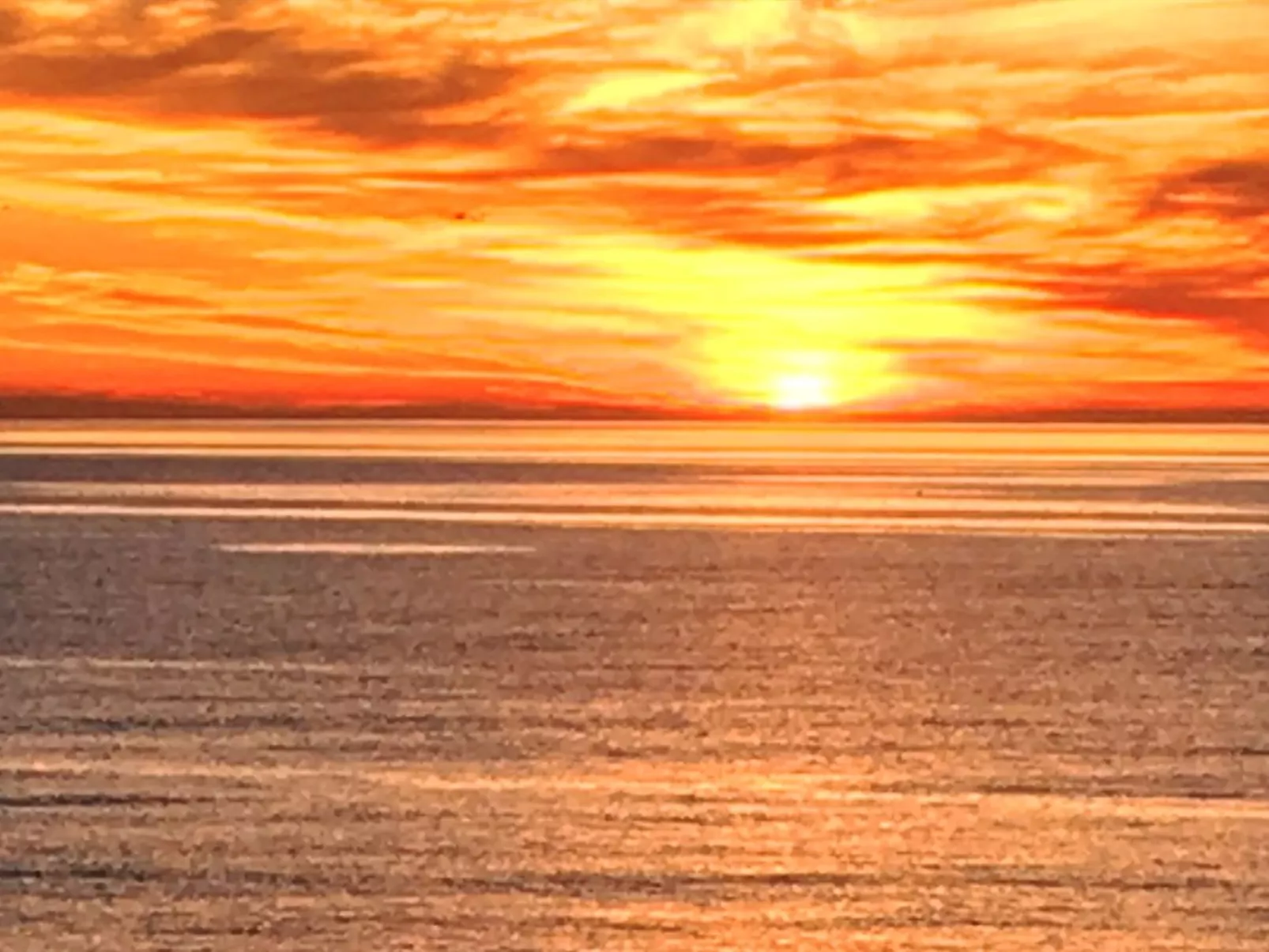 "Märta" - 300m from the sea-Buiten