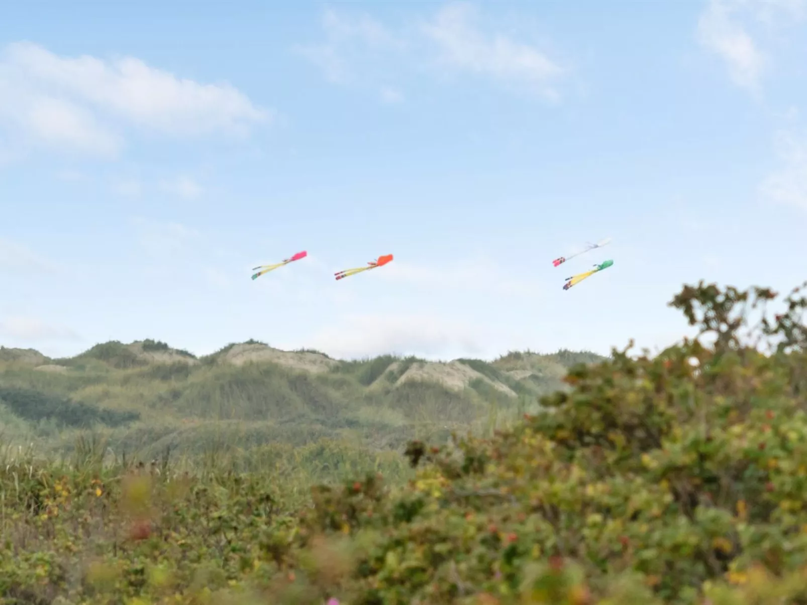 "Kalf" - 400m from the sea-Buiten