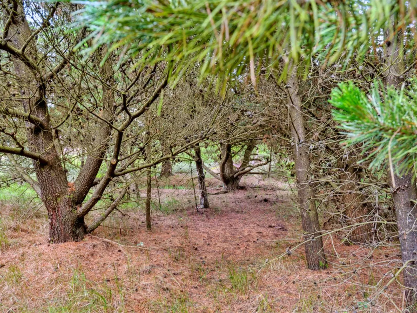 "Urpo" - 6km from the sea-Buiten