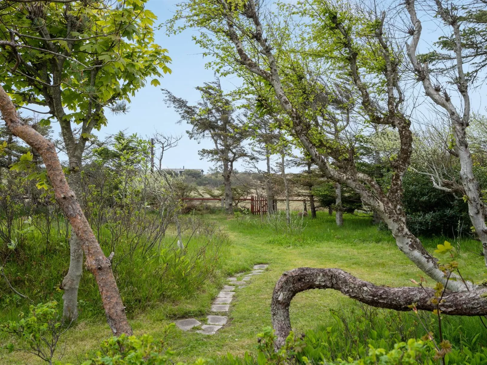 "Helny" - 300m from the sea-Buiten