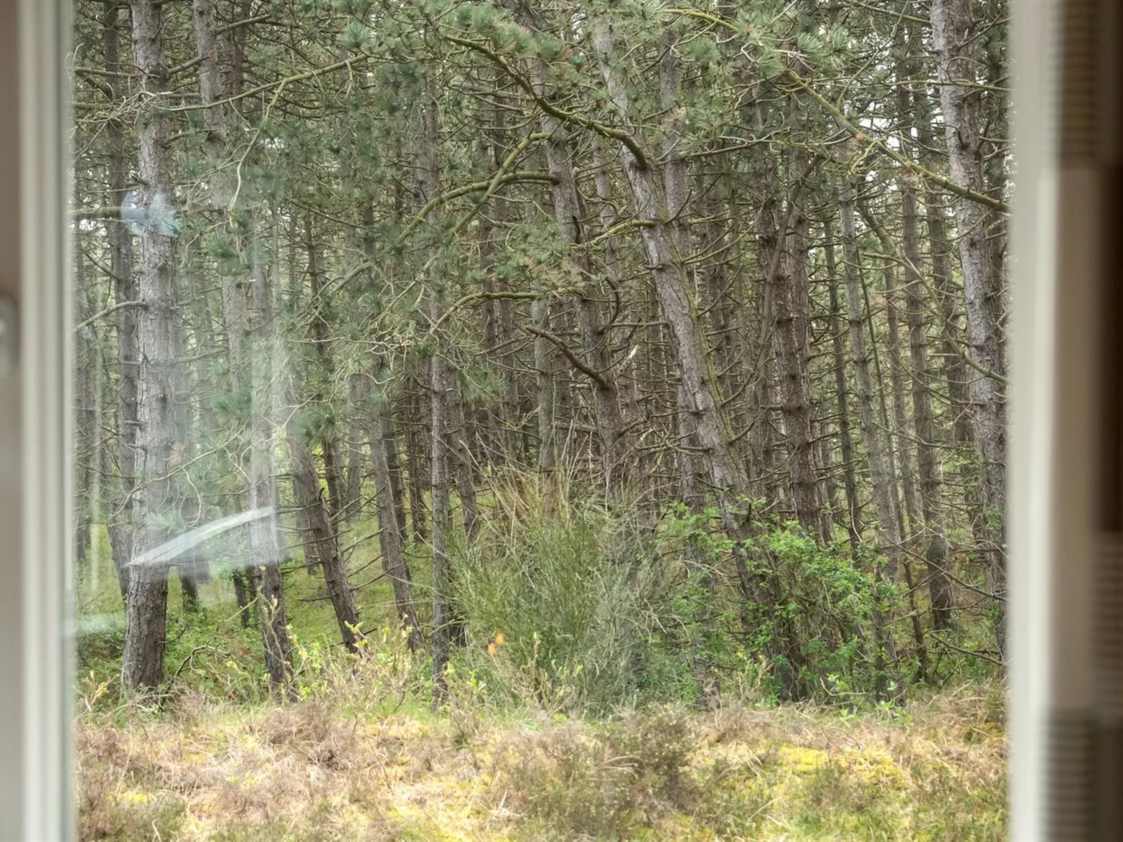 "Solvey" - 2km from the sea-Buiten