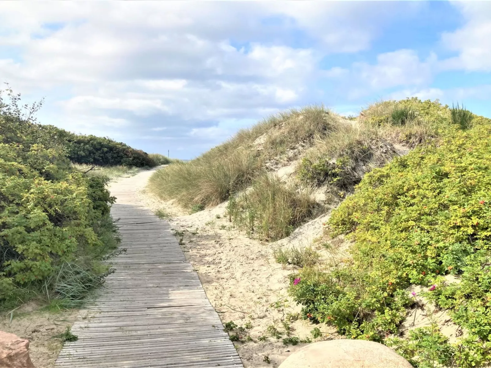 "Thrugels" - 200m from the sea-Buiten