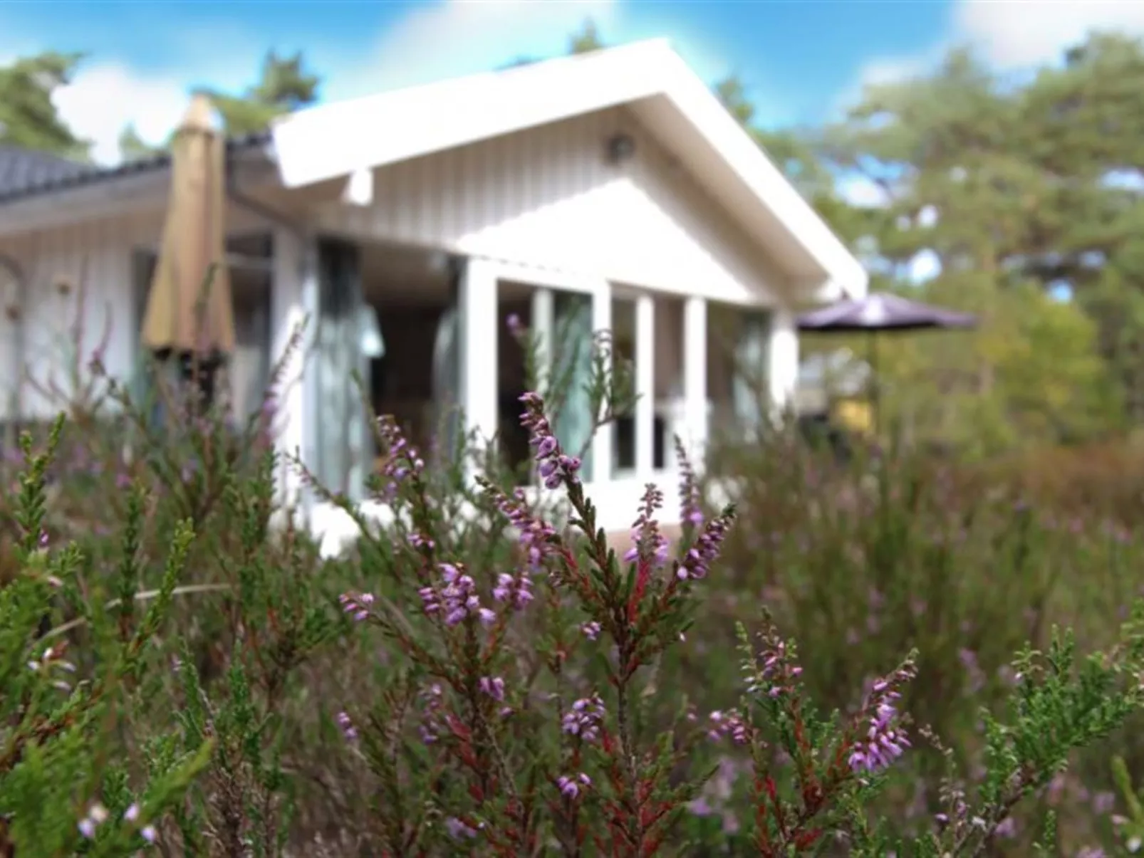 "Minka" - 300m from the sea-Buiten