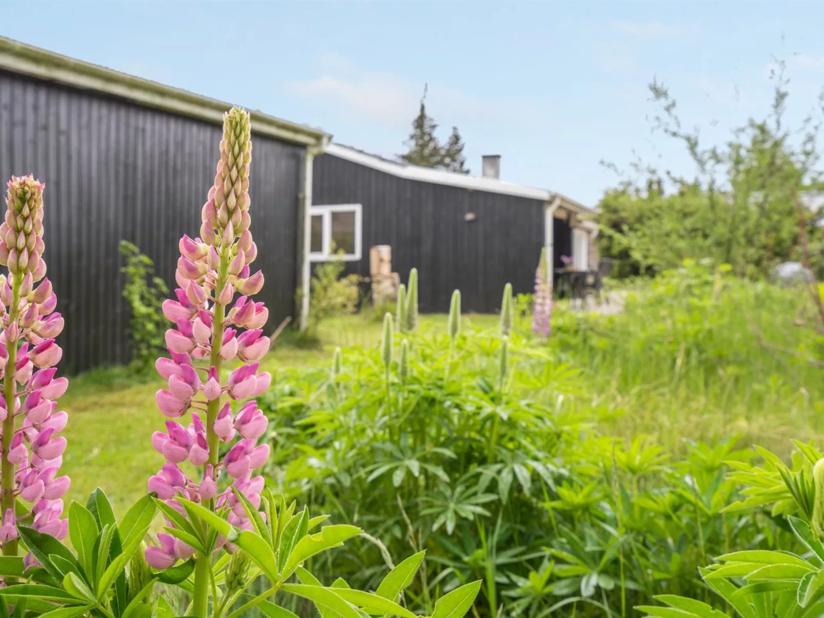 "Landolf" - 250m from the sea-Buiten