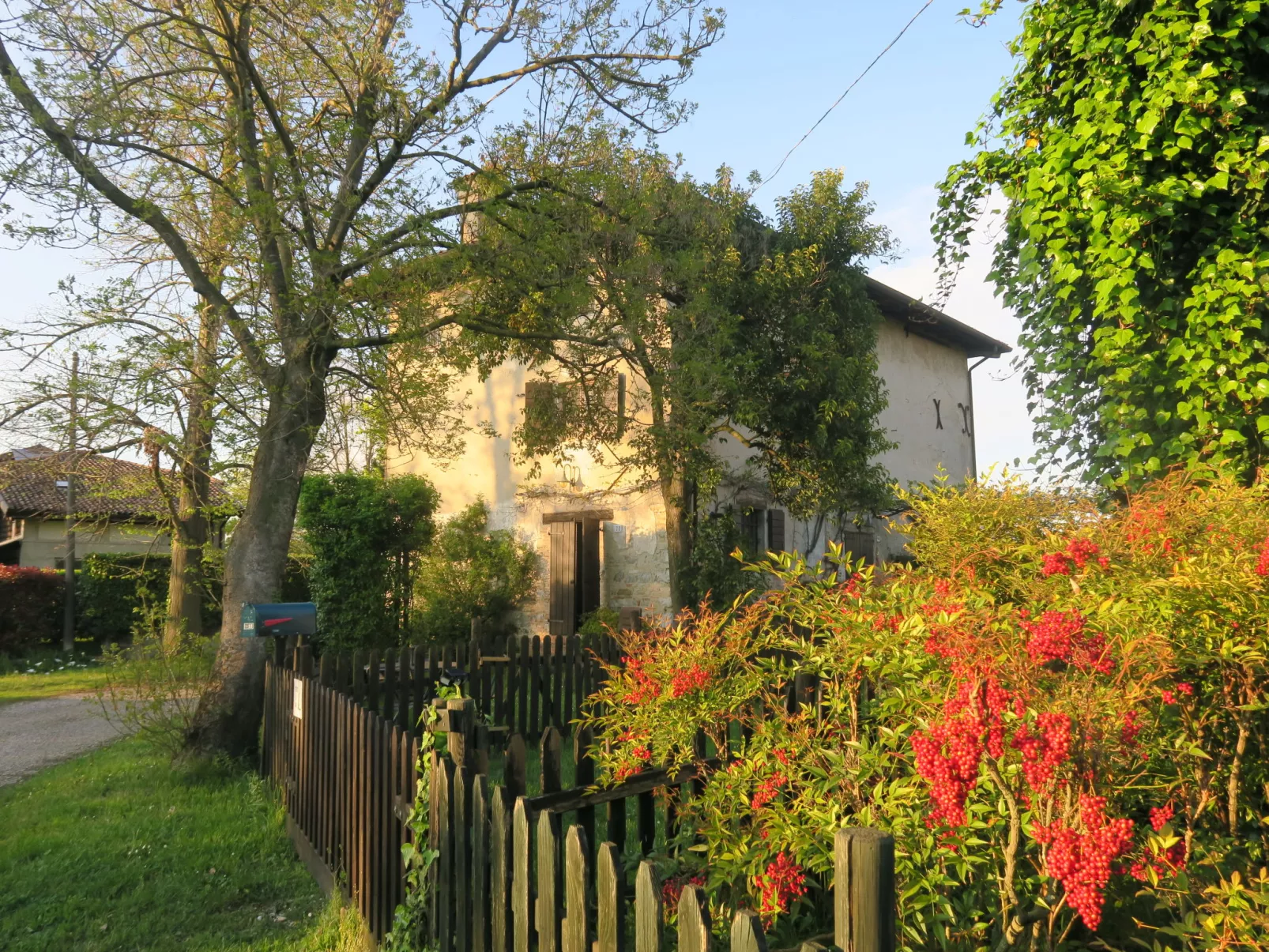 Casa del Ligustro-Buiten