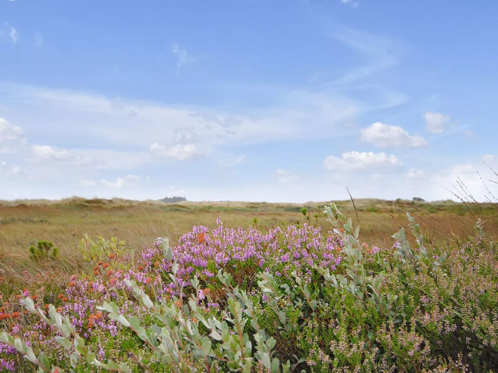 "Margrethe" - 1.1km from the sea-Buiten