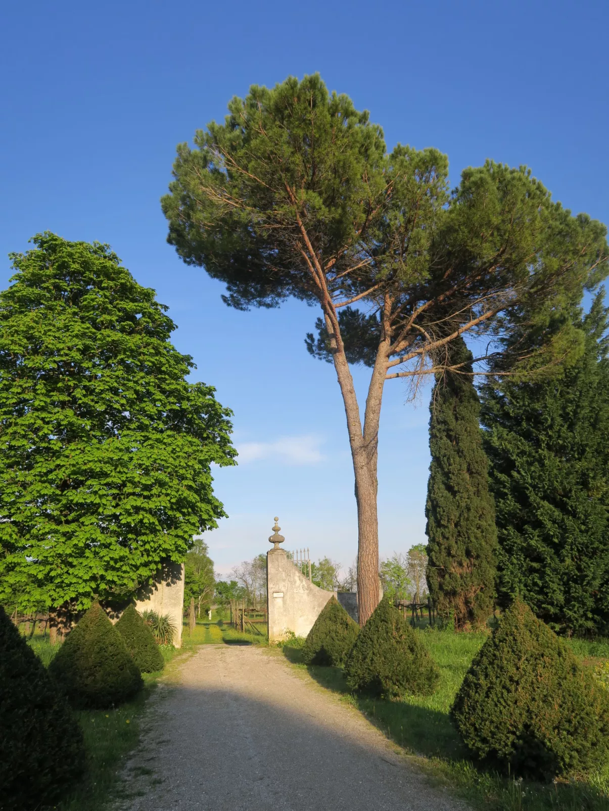 Casa del Ligustro-Binnen