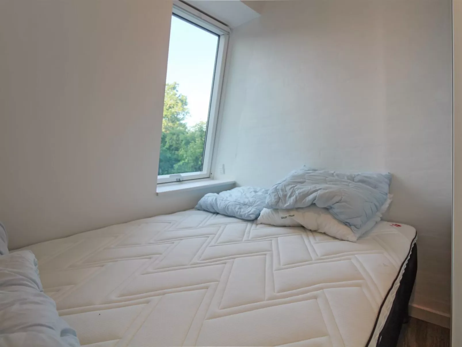 "Sasser" - 10m from the sea-Binnen