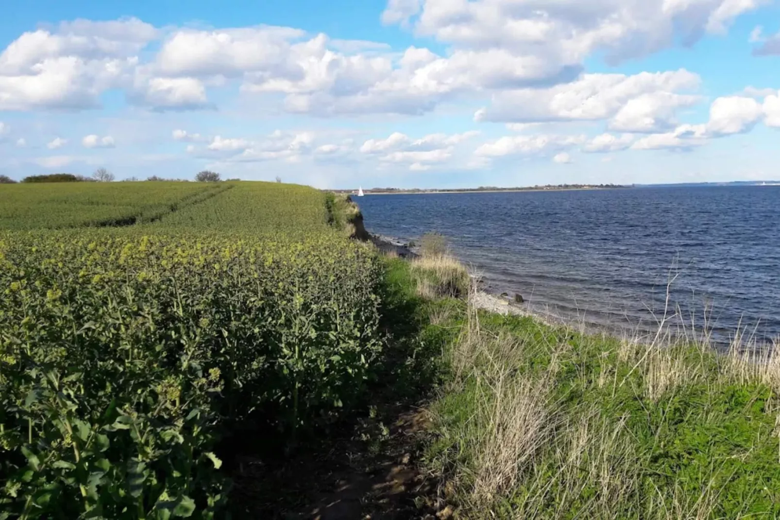 4 persoons vakantie huis in Haderslev-Waterzicht