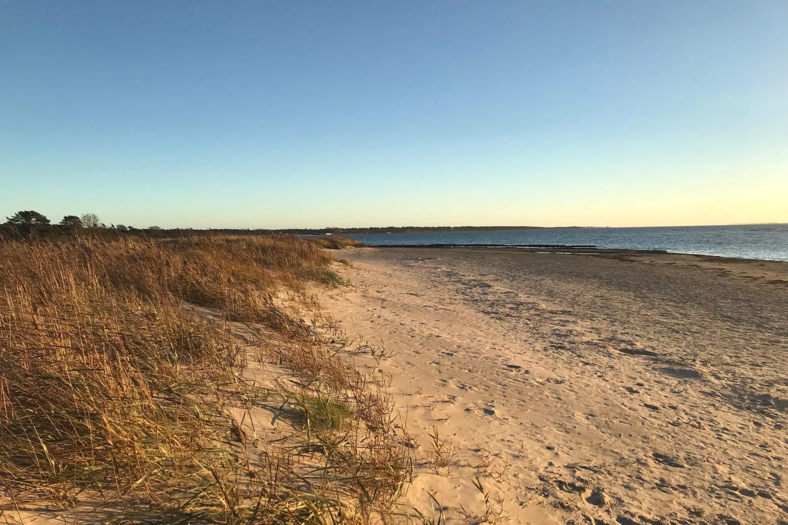 4 sterren vakantie huis in GOTLANDS TOFTA-By Traum-Waterzicht