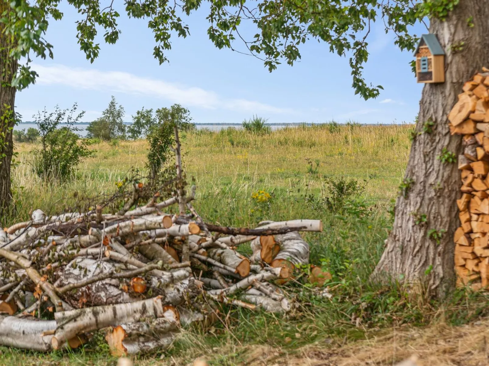 "Aurore" - 1.3km from the sea-Buiten