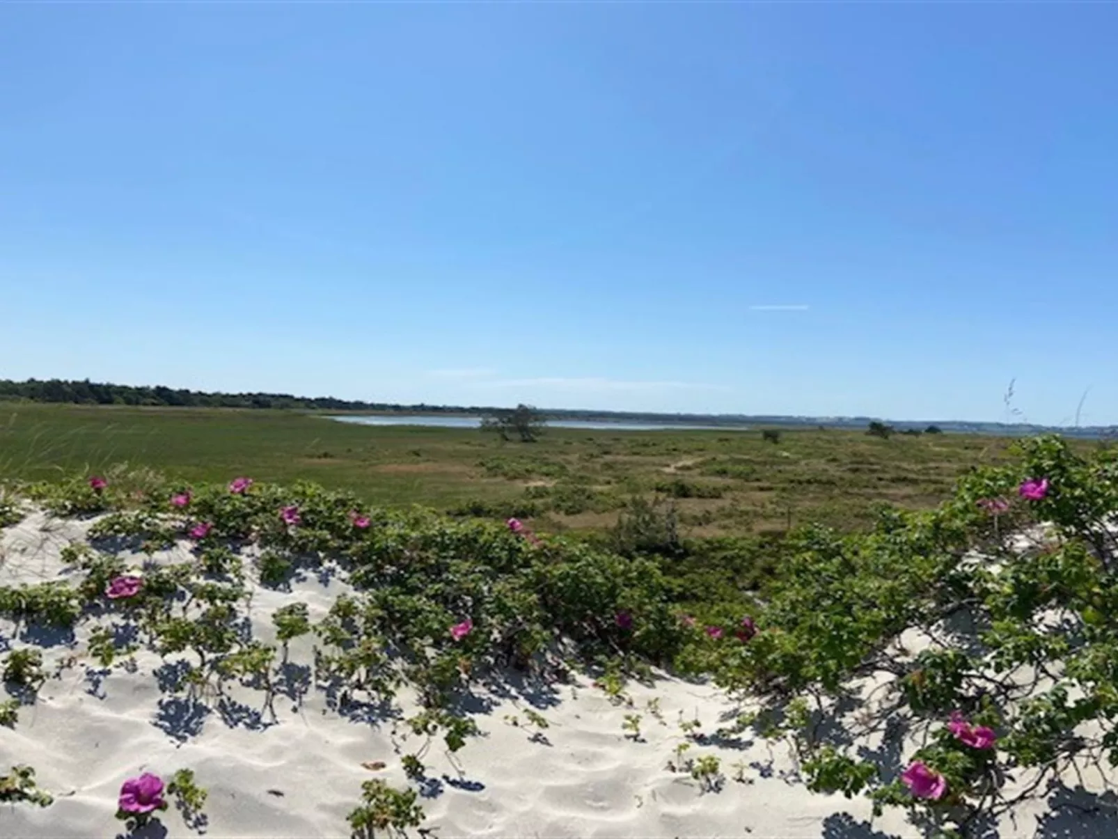 "Tinja" - 900m from the sea-Buiten