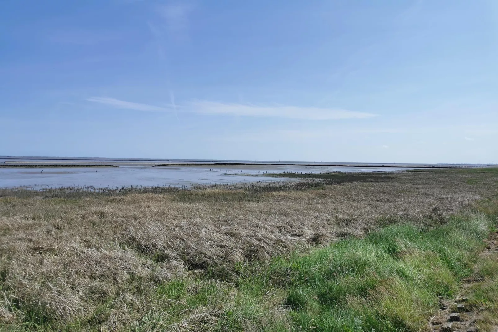 Ferienhaus Seeschwalbe-Gebieden zomer 5km