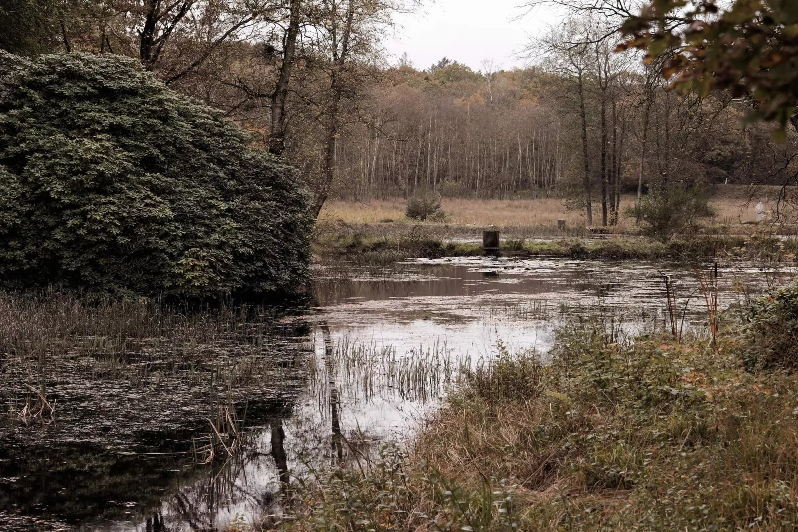 4 sterren vakantie huis in Hovborg-By Traum-Waterzicht