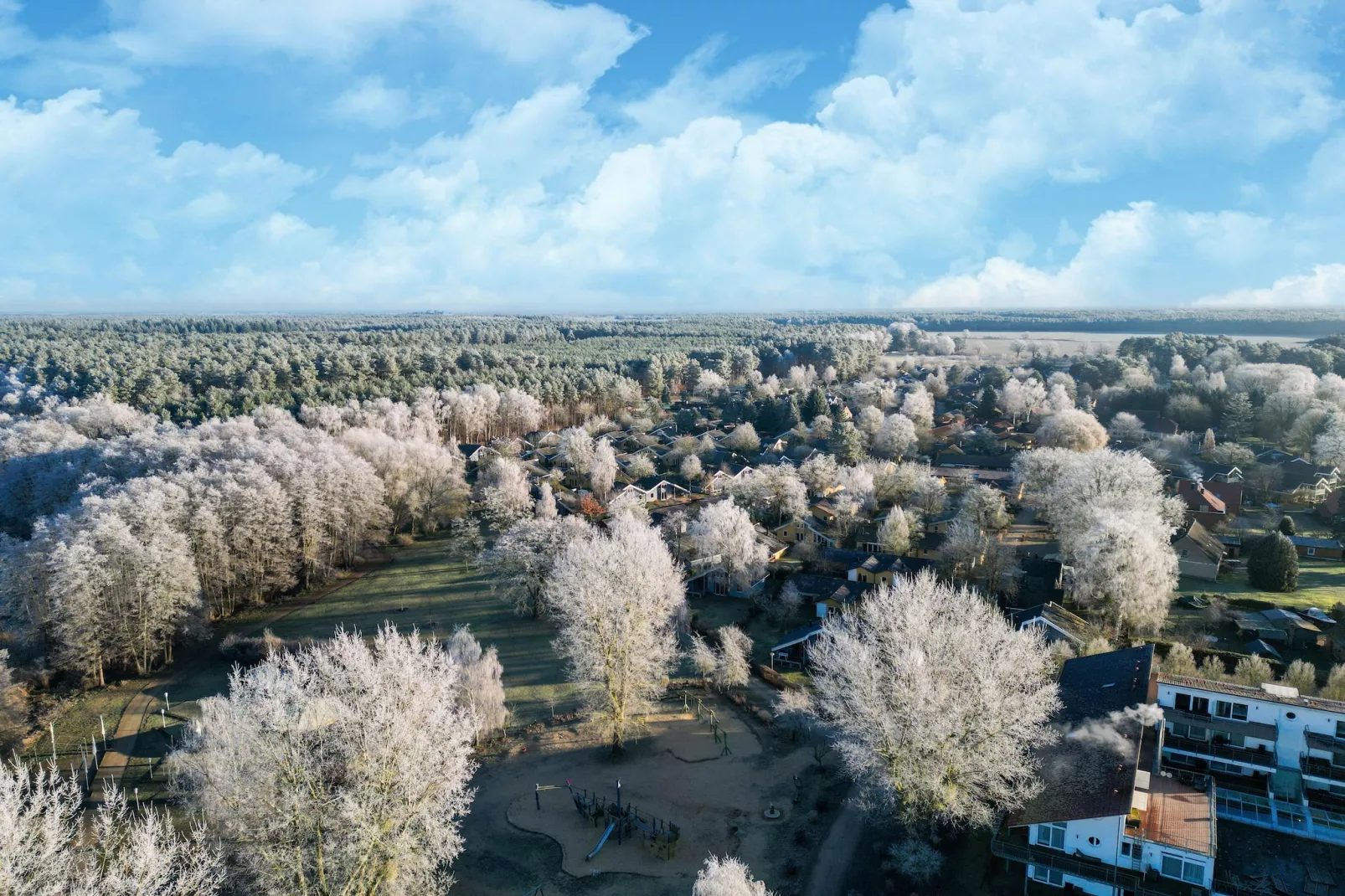 FH Wildgans Comfort mit Sauna & Kaminofen 81 qm 156-Gebieden zomer 1km