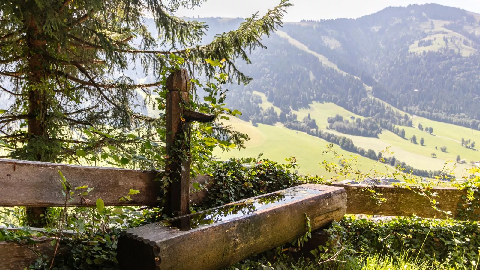 Sonnenhütte unten-Uitzicht zomer
