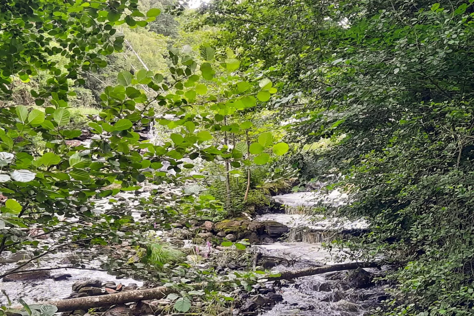 4 sterren vakantie huis in MUNKA-LJUNGBY-Waterzicht