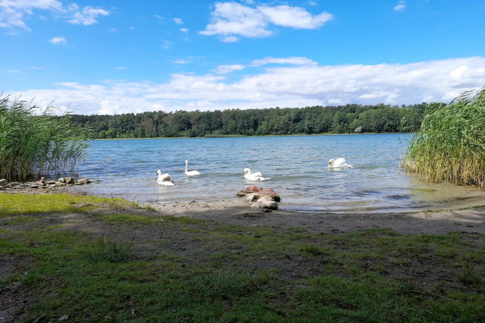 Luxus Appartement / 6 Personen-Gebieden zomer 5km