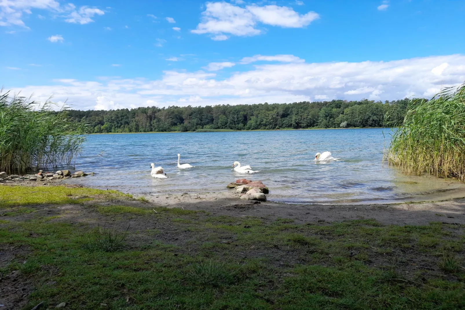 Luxus-Familienappartement / 6 Personen-Gebieden zomer 5km