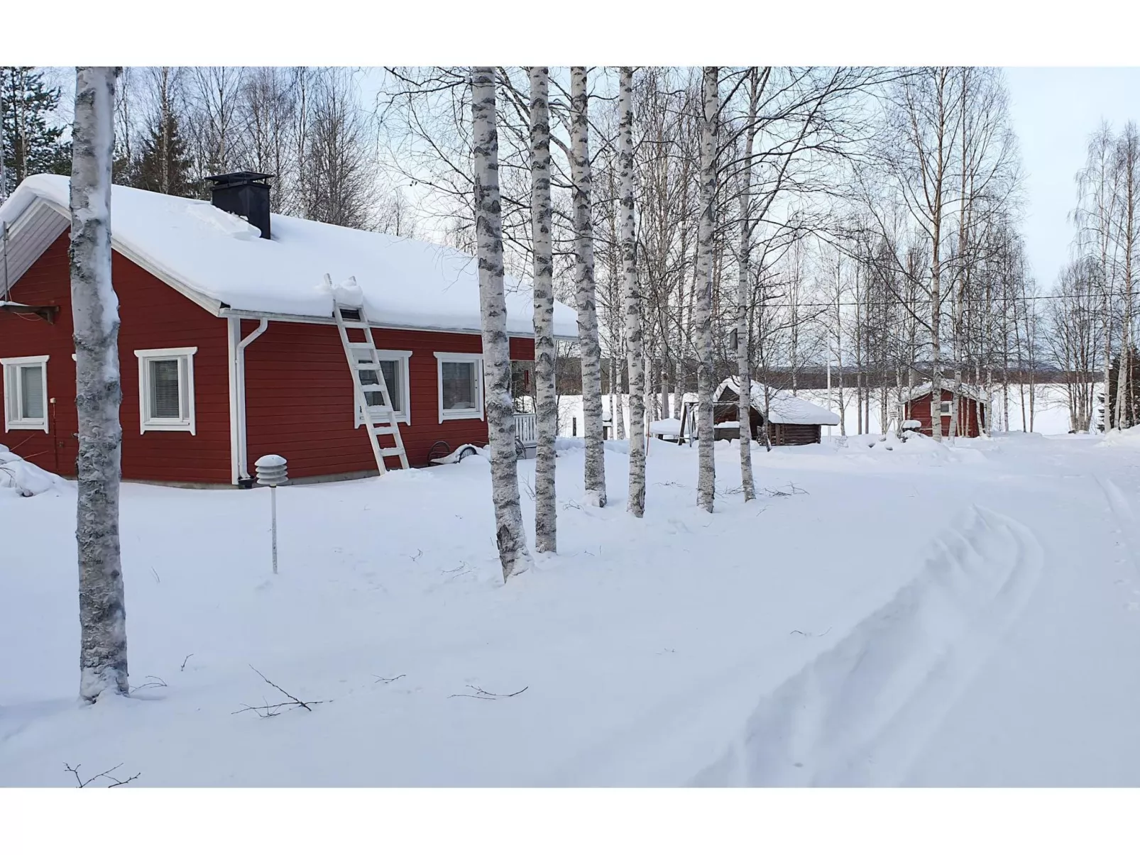 Koivulahden reinola-Binnen