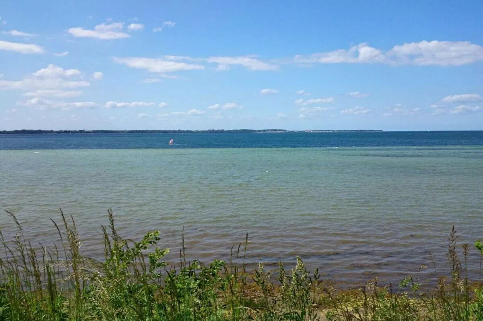 86647-Gebieden zomer 1km