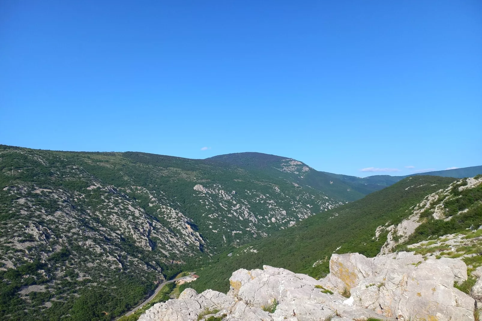 Niko 3-Gebieden zomer 5km