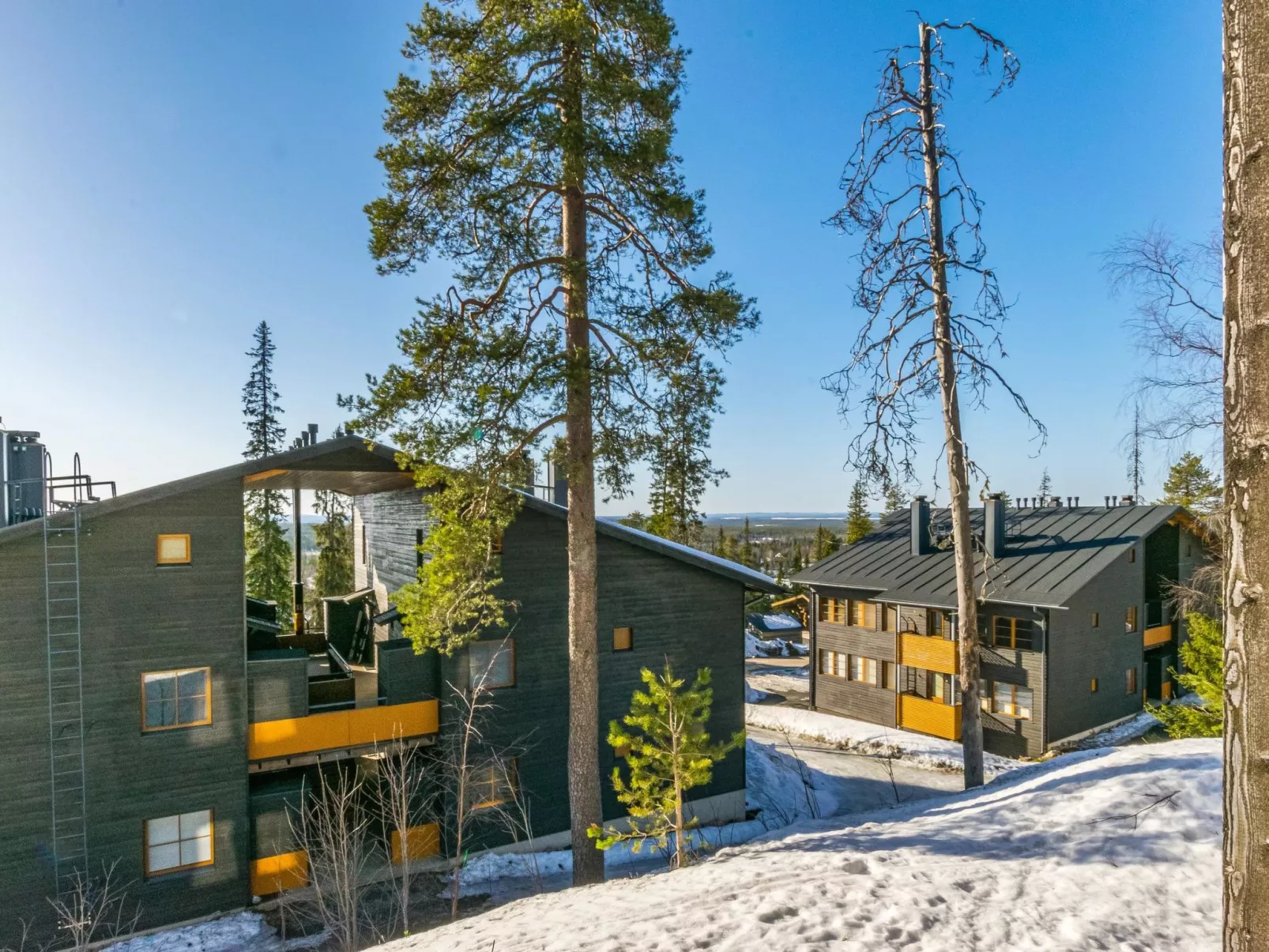 Karhunvartijan kota b1-Binnen