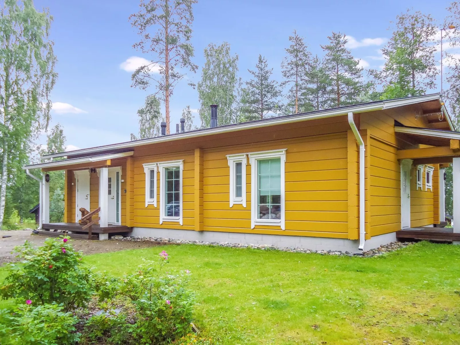 Kolin mesikämmen-Binnen