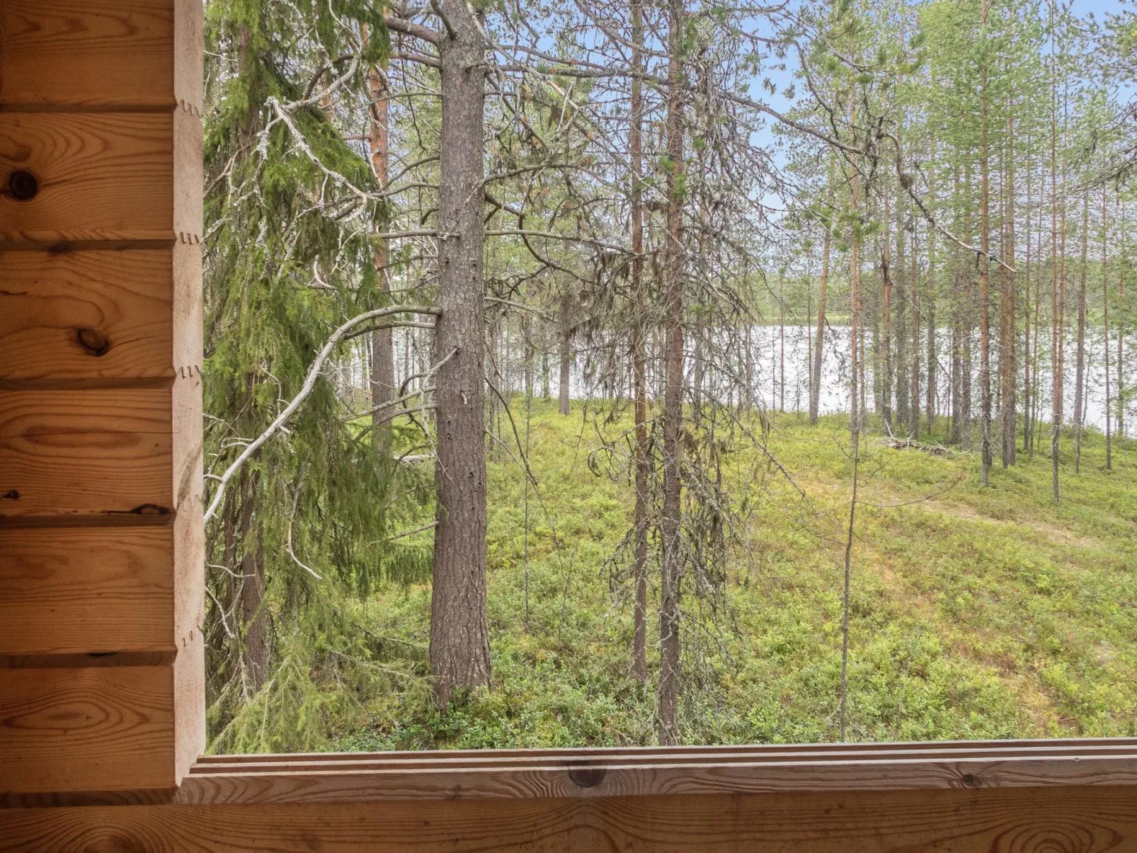 Oivangin siesta-Binnen