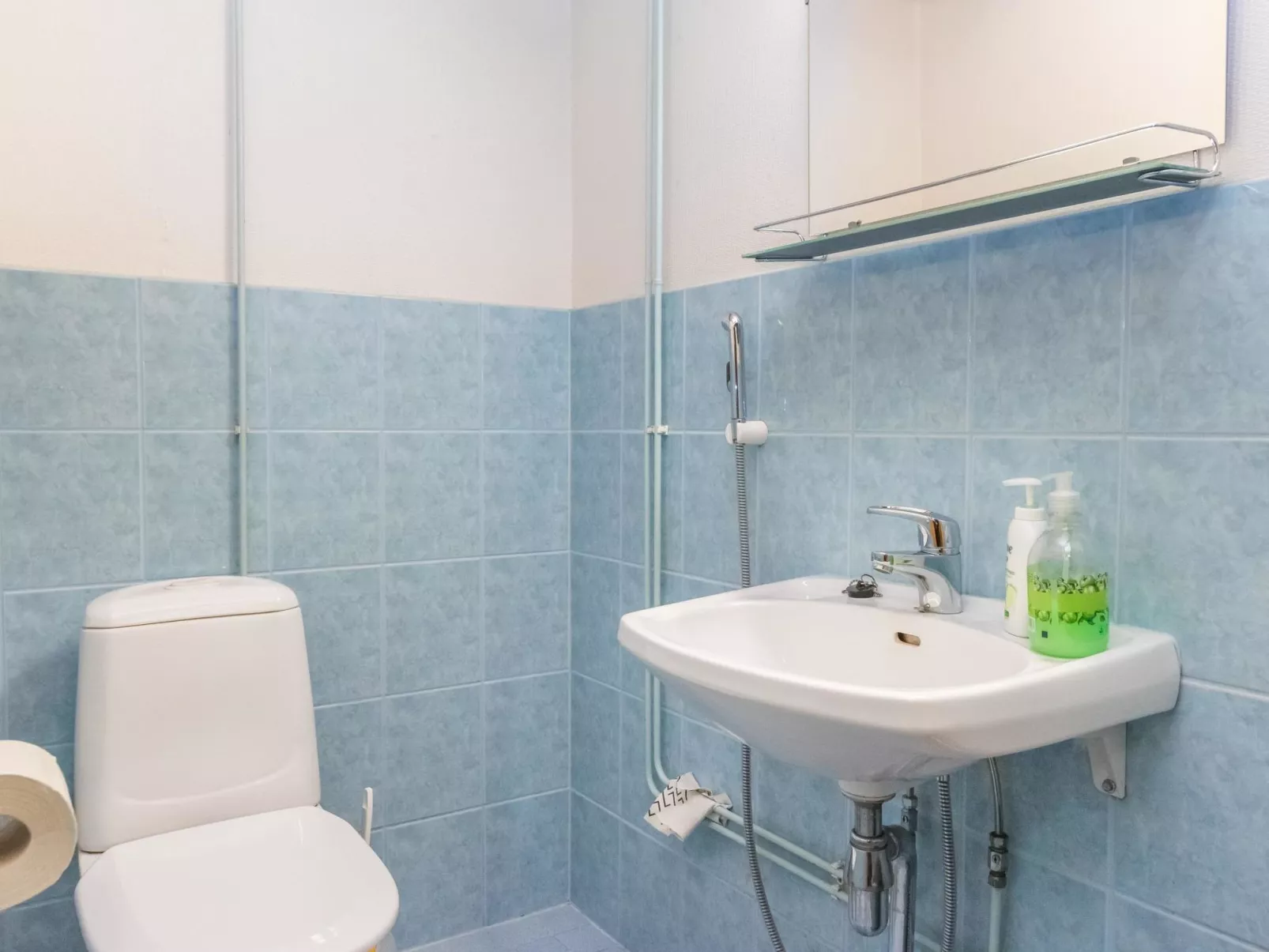 Karhunpesä a-Binnen