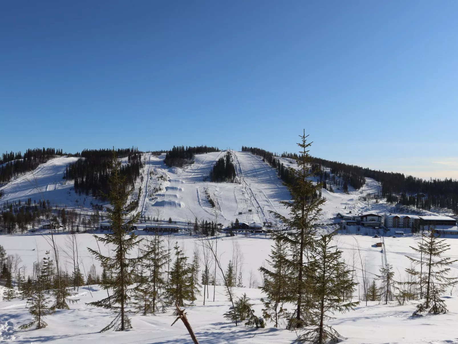 Pieni kiiruna-Binnen