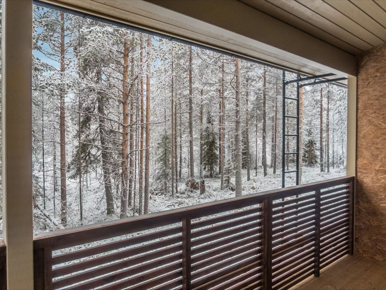 Saukonpesä a-Binnen