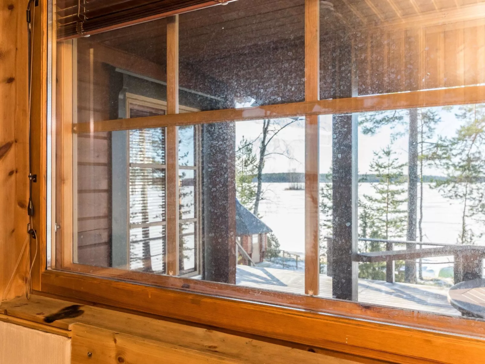 Puolen hehtaarin metsä-Binnen