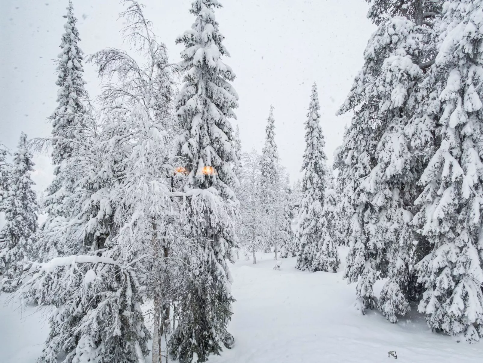 Rukan lepolinna b-Binnen
