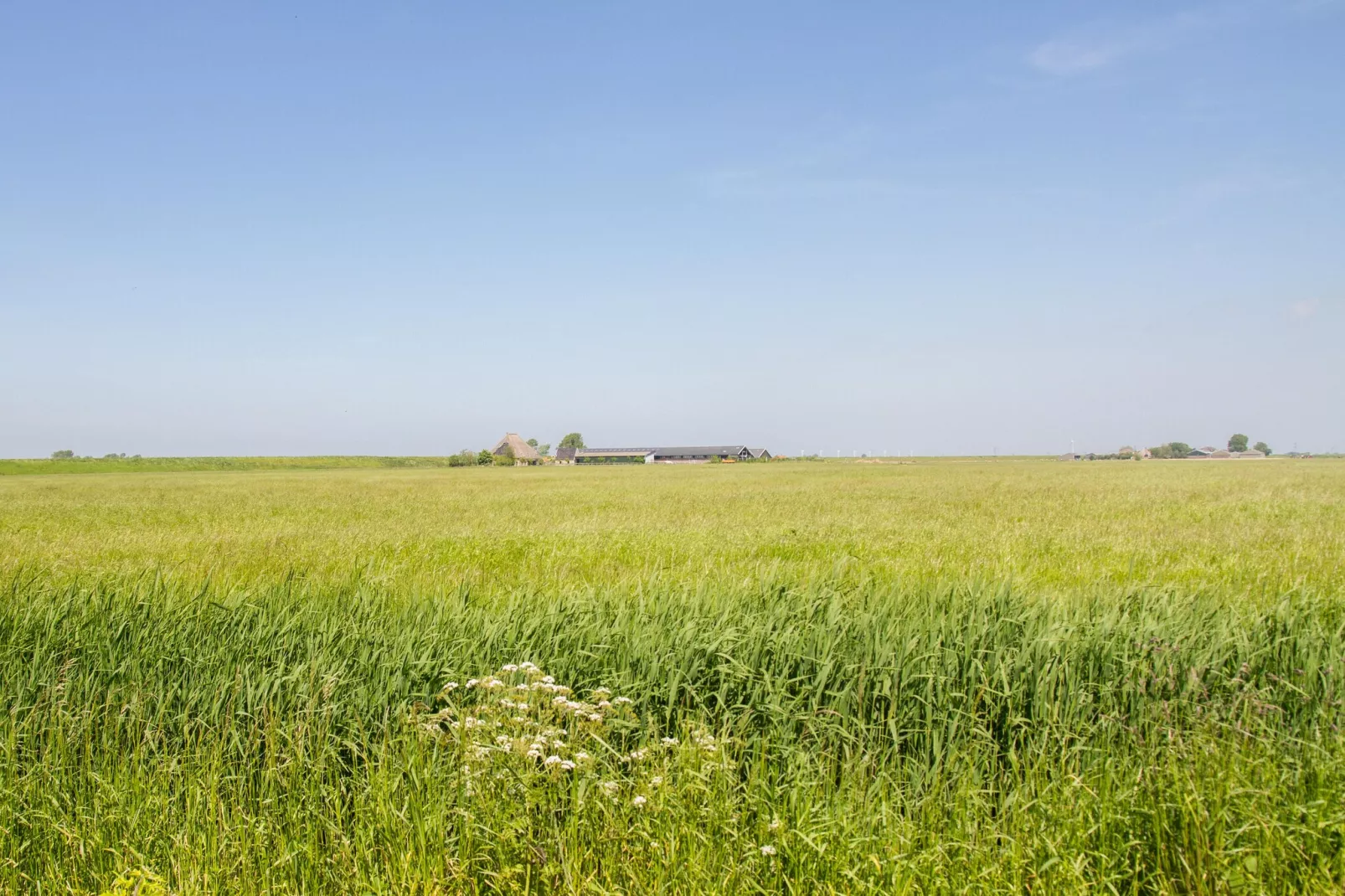 Appartement Boerderij - Gebieden zomer 5km