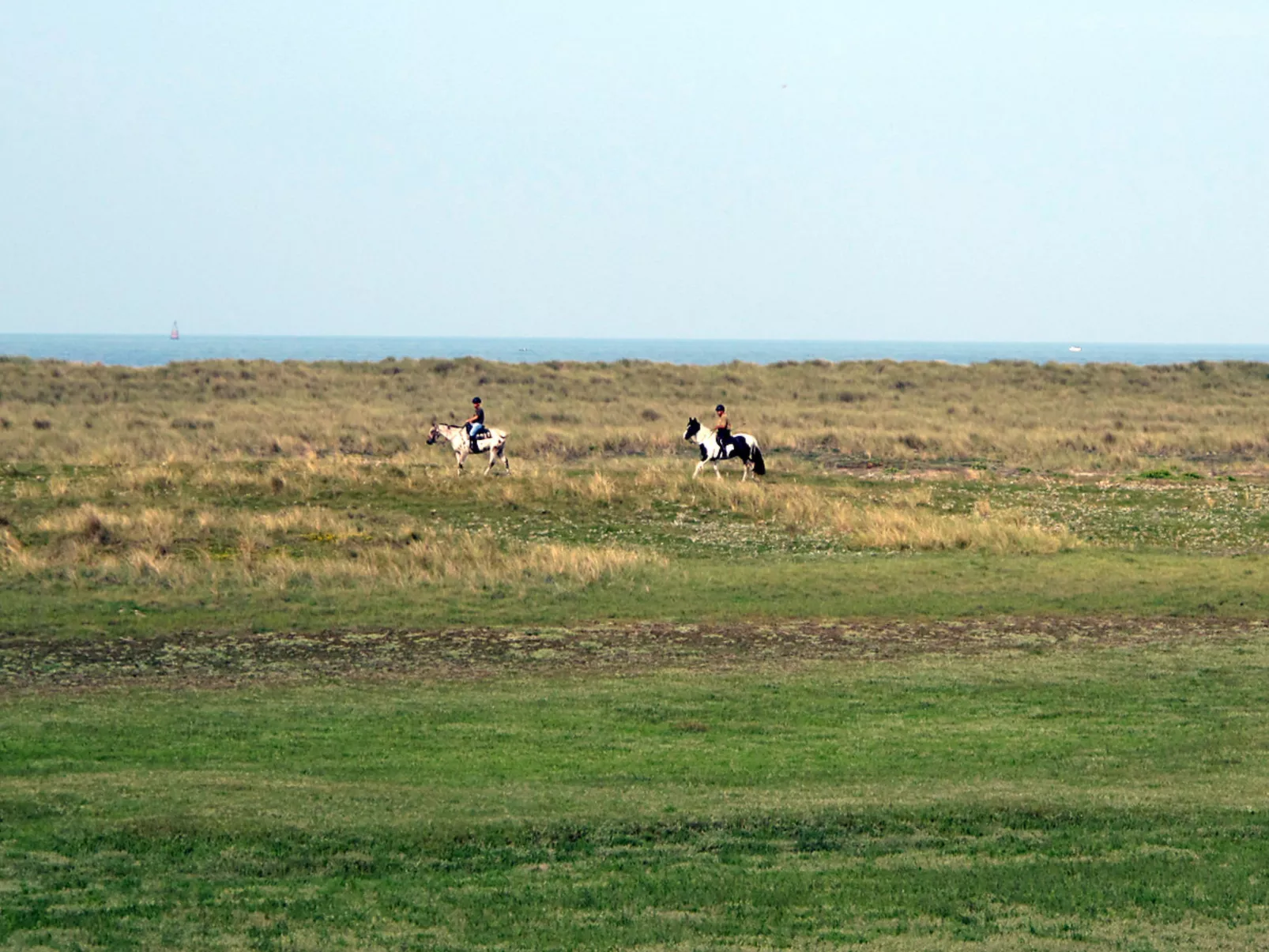 Maison Edgar Luce-Omgeving