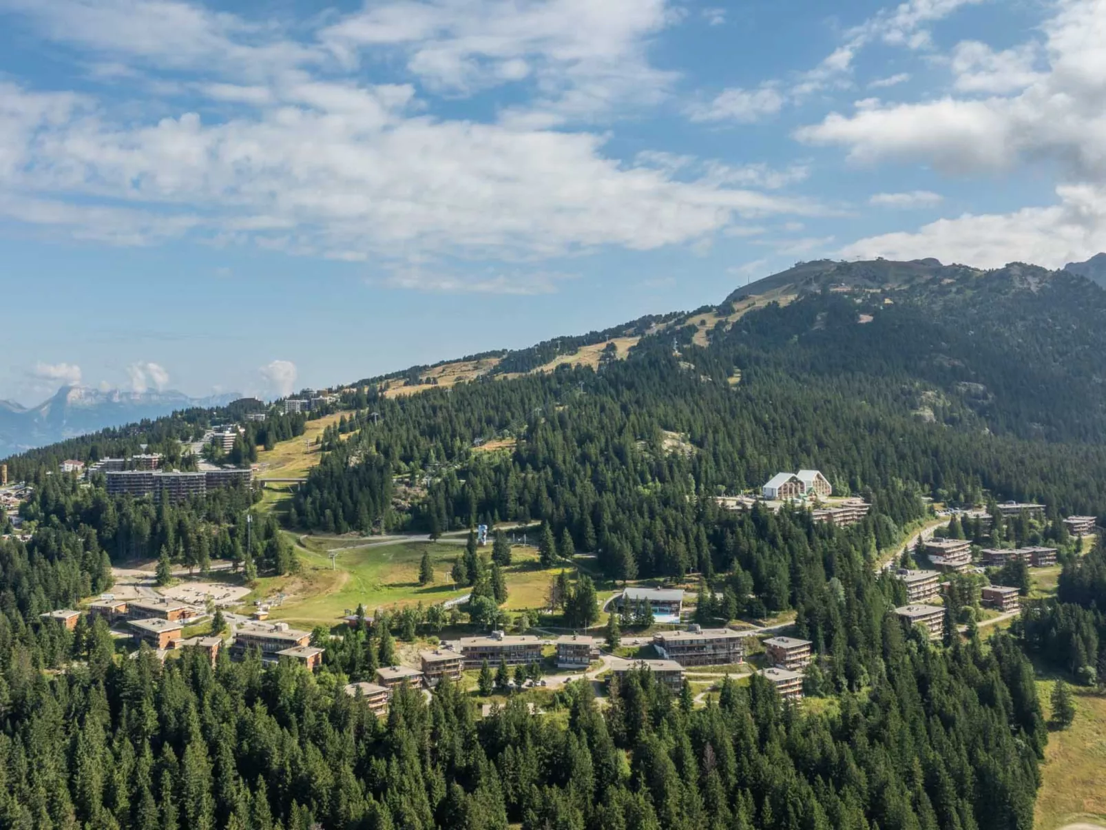 V du Bachat Silene D-Binnen