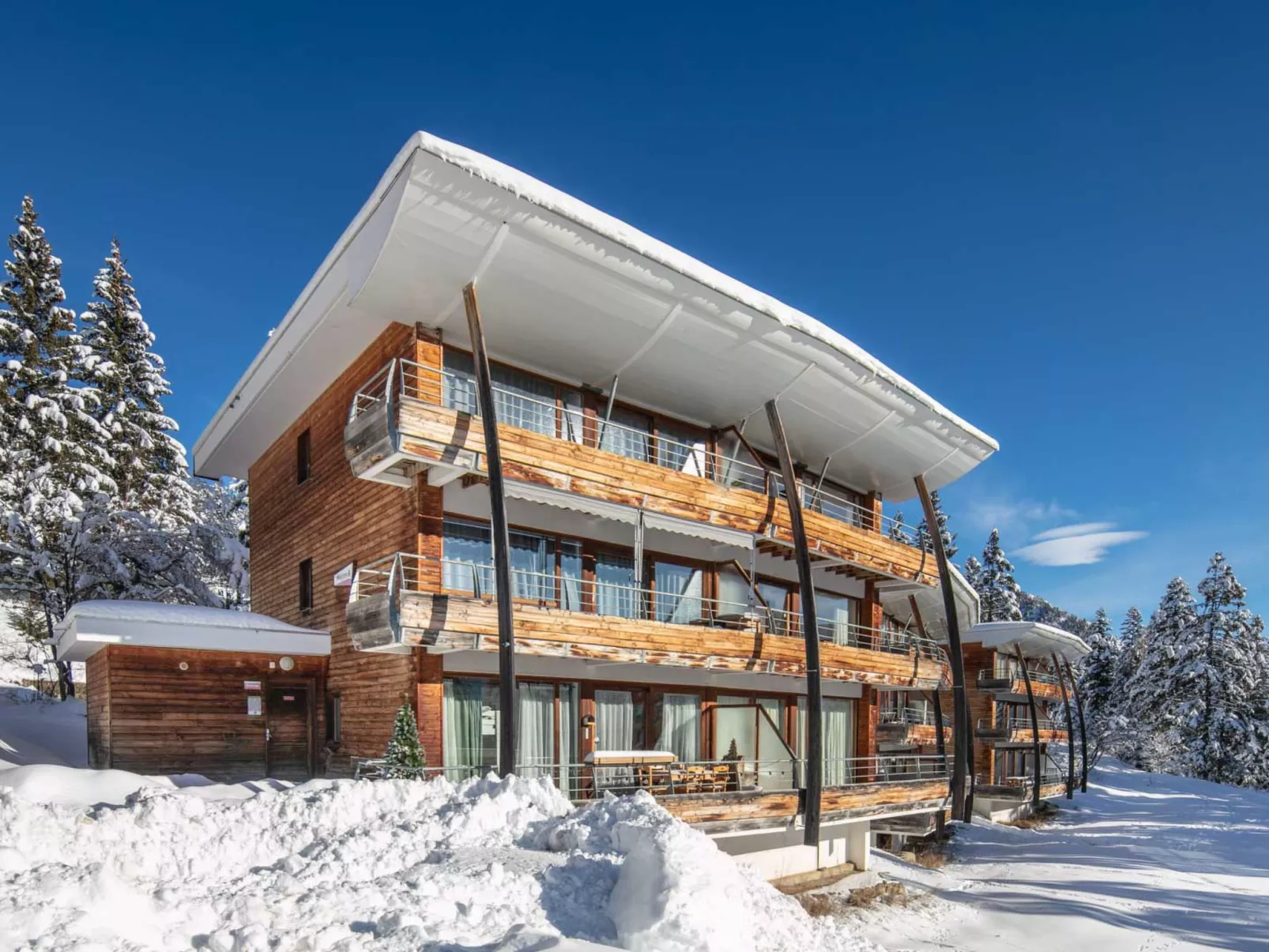 V du Bachat JOUBARBES A-Buiten