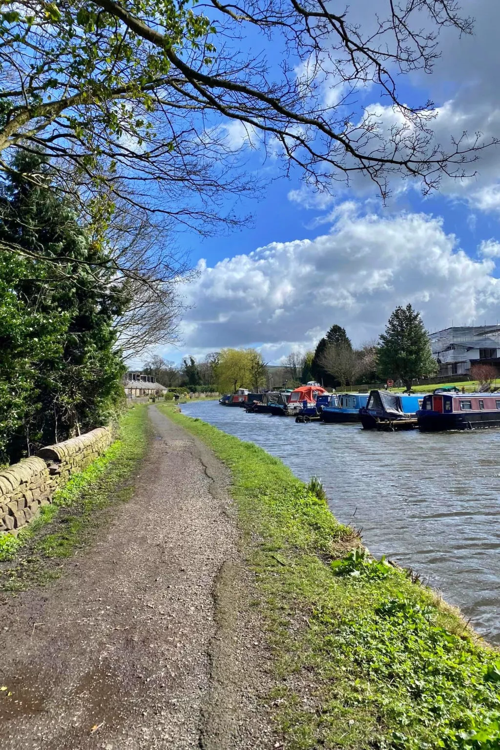 Suzy's Cottage-Binnen