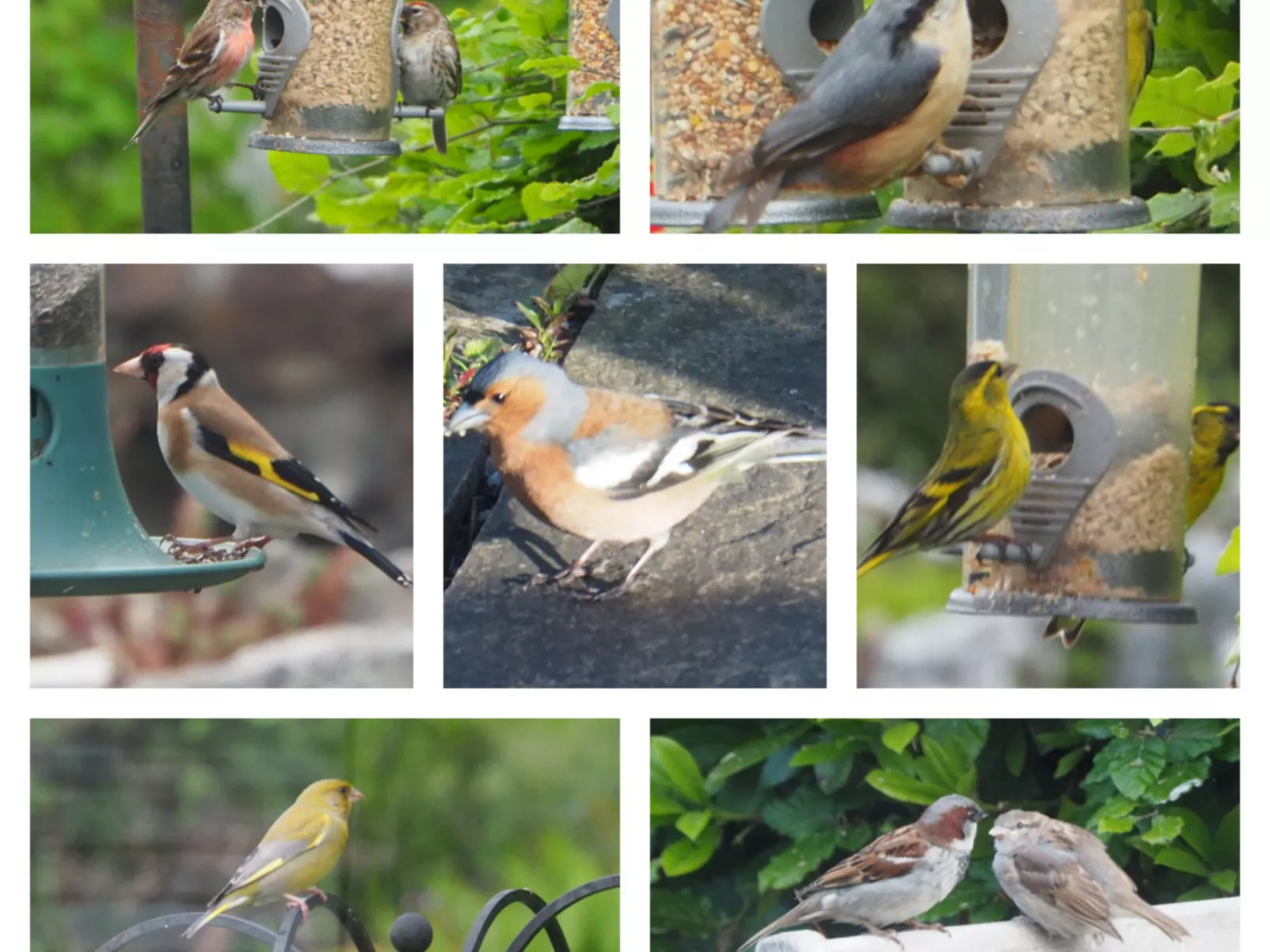 The Duck House-Buiten