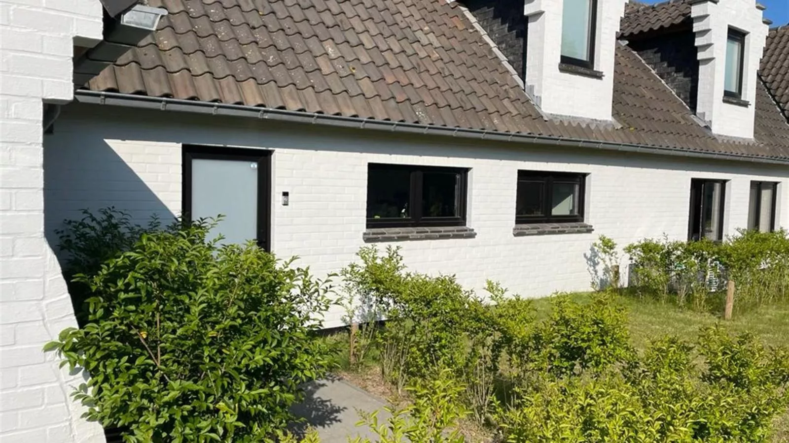 PT25 Deluxe-Buitenkant zomer