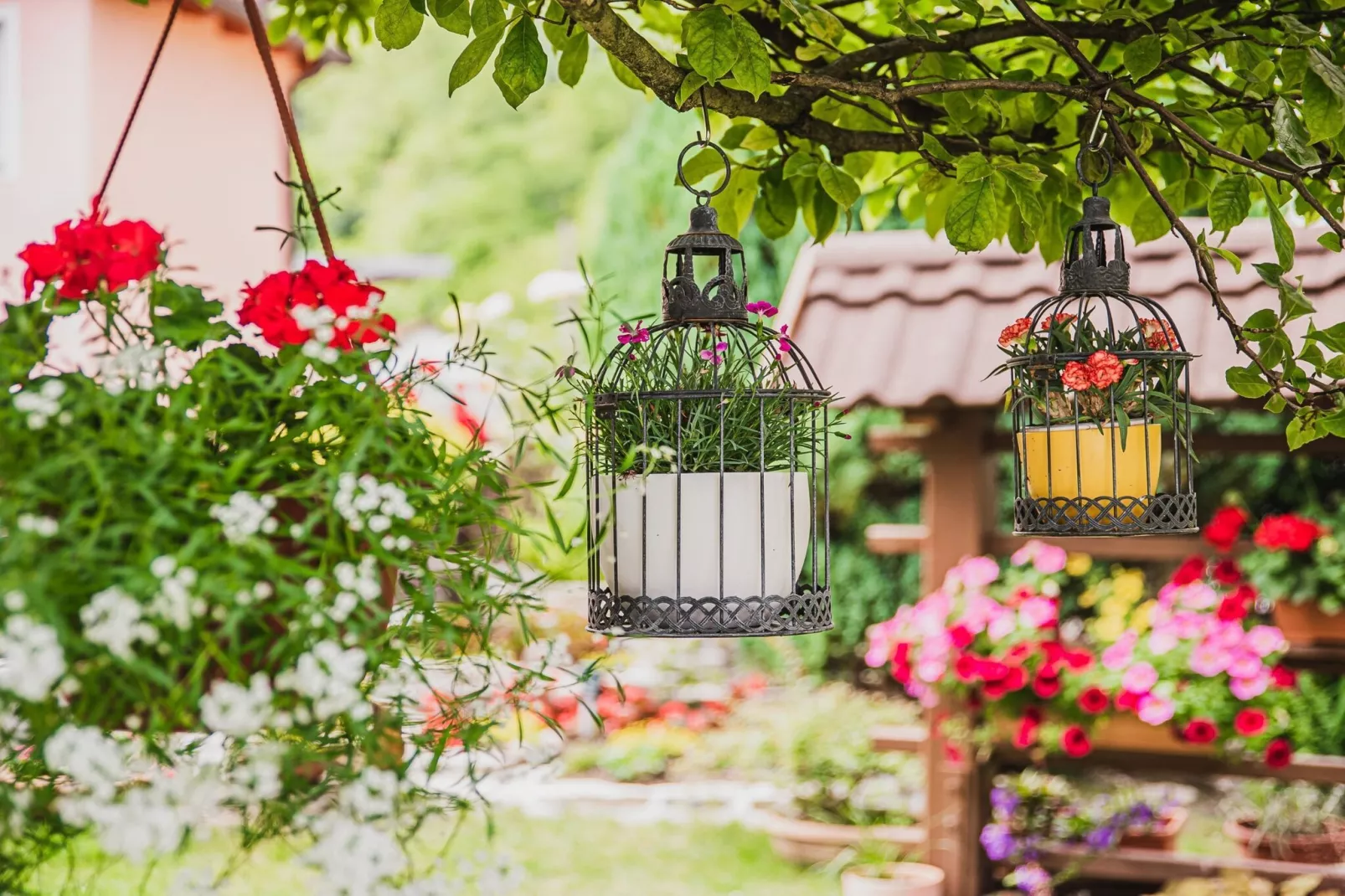 Enchanting Rural Apartment with Terrace - Studio Apartment with Terrace-Tuinen zomer