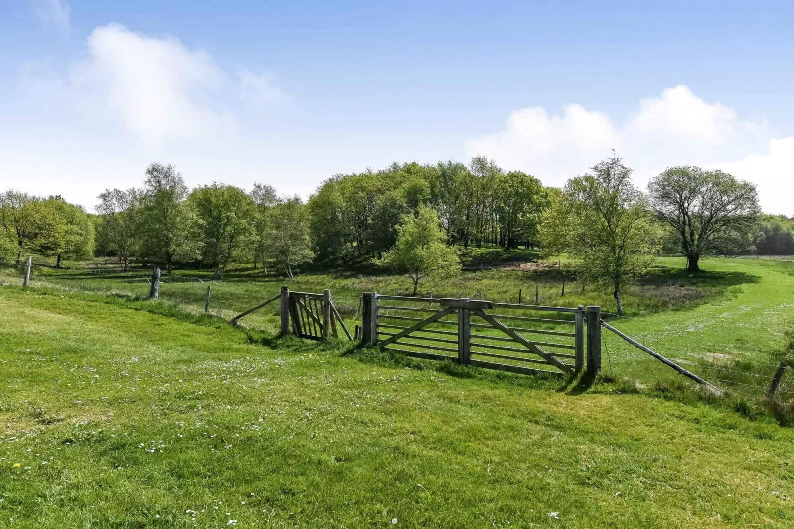 5 sterren vakantie huis in Grindsted-Buitenlucht