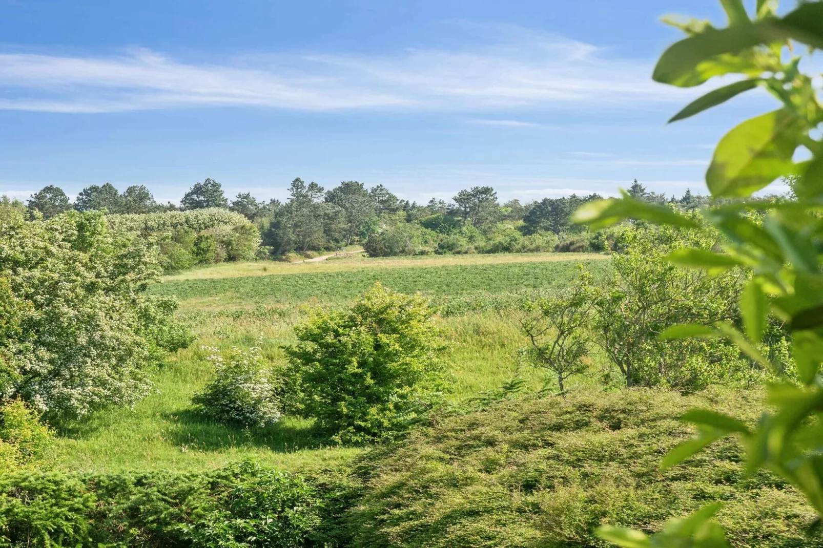 5 sterren vakantie huis in Farsø-Buitenlucht